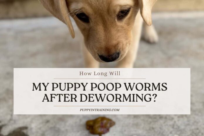 puppy-poop-worms-feature.jpg